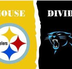 Pittsburgh Steelers and Carolina Panthers Divided Flag 3x5ft