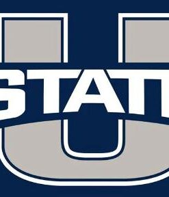 Utah State Aggies Sports Team Flag 3x5ft