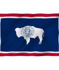 3x5 Foot Wyoming State Flag - Wyoming Wy Flags Polyester With Brass Grommets 3x5 Ft Banner