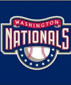 Washington Nationals Team Flag 3x5ft Banner Usa Polyester With Brass Grommets