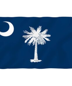 South Carolina State Polyester Flag - South Carolina Sc Flag With Brass Grommets 3x5ft Banner Usa