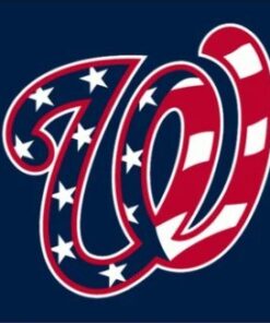Washington Nationals American Flag 3x5ft Banner Usa Polyester With Brass Grommets