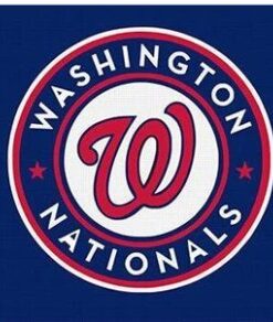 Washington Nationals Custom Flag 3x5ft Banner Usa Polyester With Brass Grommets